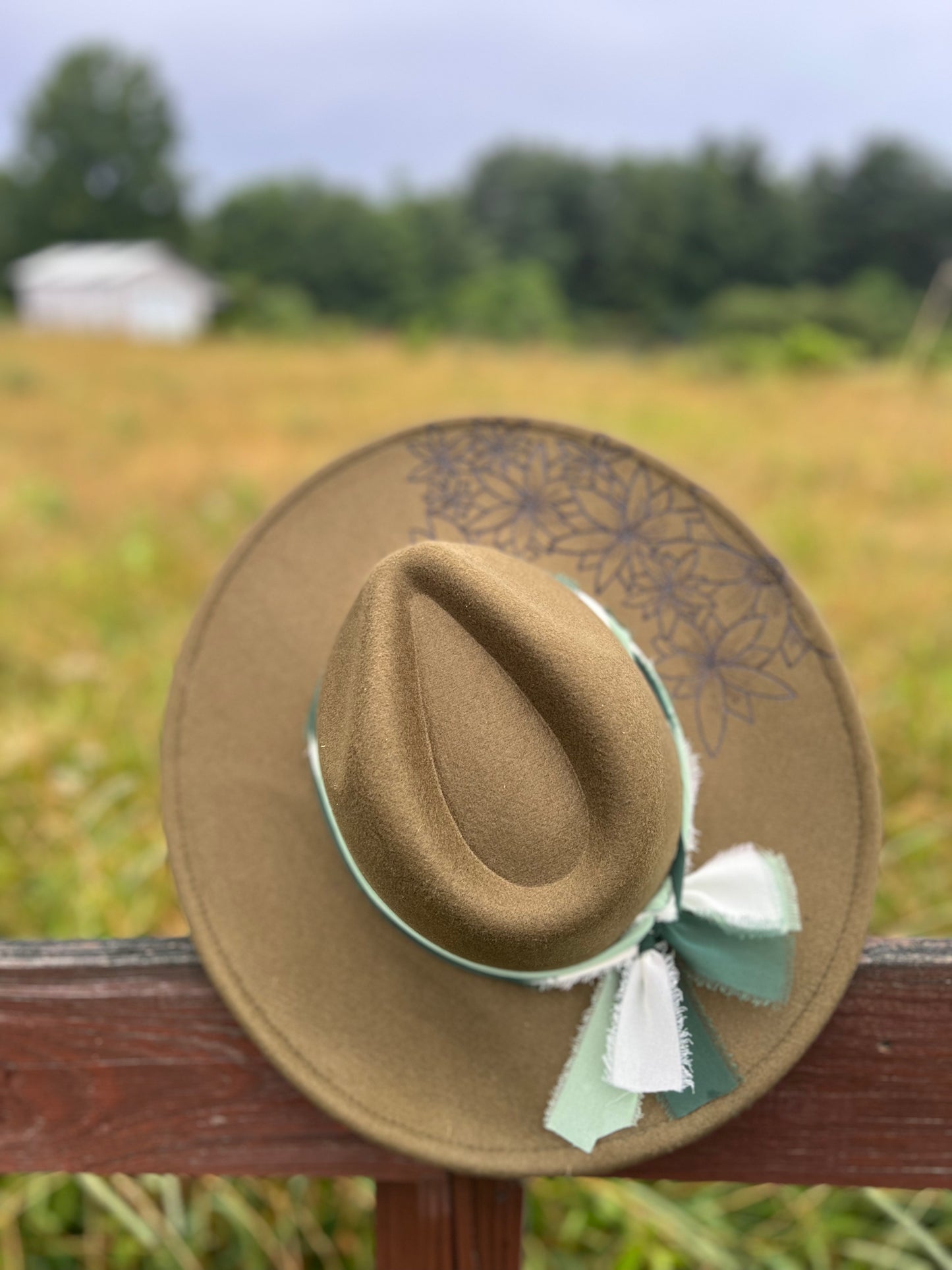 Olive For Sunflowers